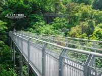 ทางเดินลอยฟ้า The Southern Ridges