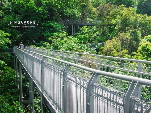 ทางเดินลอยฟ้า The Southern Ridges