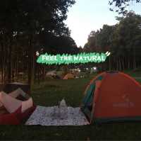 จุดกางเต็นท์ไม่ไกลจากตัวเมืองพะเยา 🏕️ 
