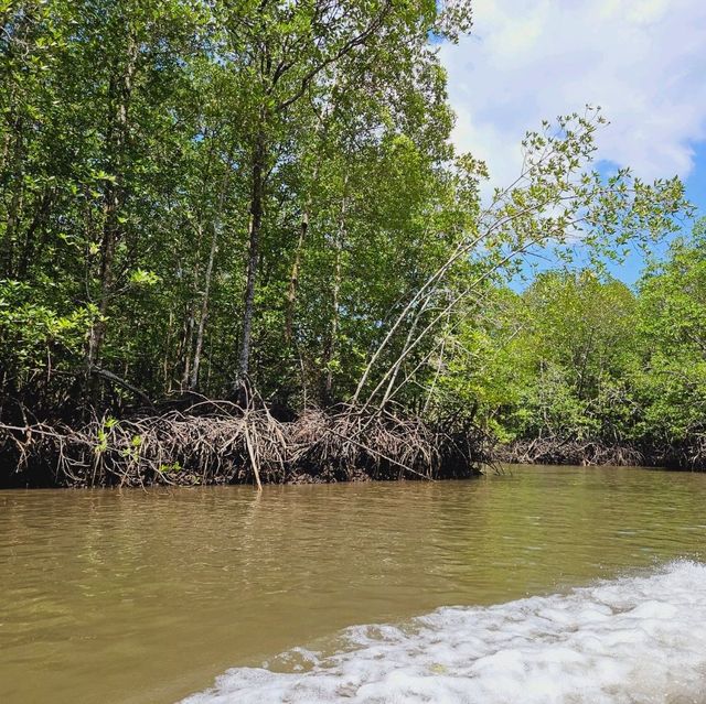 A wander to nature, Mangrove River at Kilim Geoforest Park