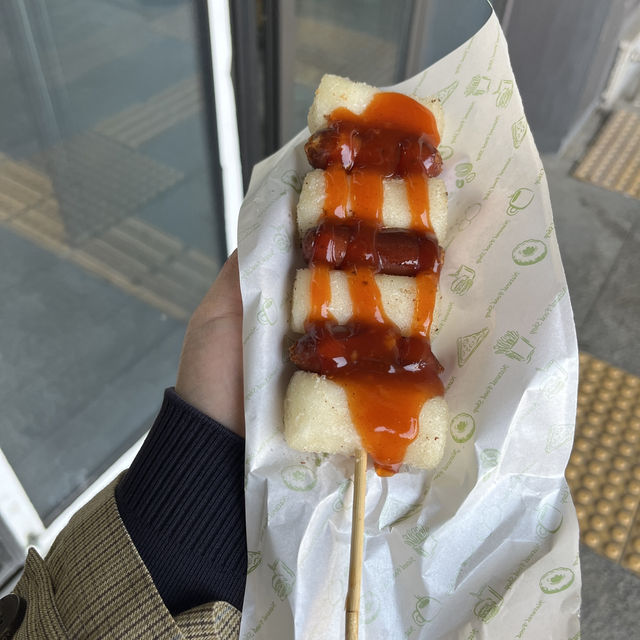 여자 혼자 강릉여행🐷 부지런히 먹고 소화하는 힐링여행🥰