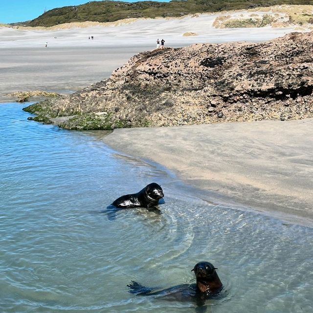 Wharariki Beach