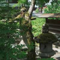 【京都観光】酒造りと縁結びの神様を祀る！「松尾大社」⛩️ 🍶