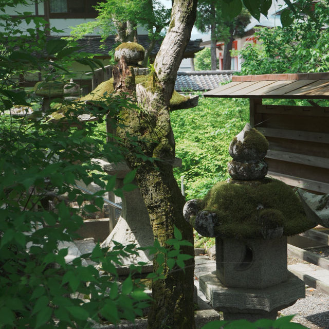 【京都観光】酒造りと縁結びの神様を祀る！「松尾大社」⛩️ 🍶