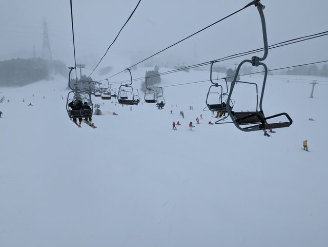 🇯🇵新潟「苗場滑雪場」雪鄉、酒鄉、溫泉鄉