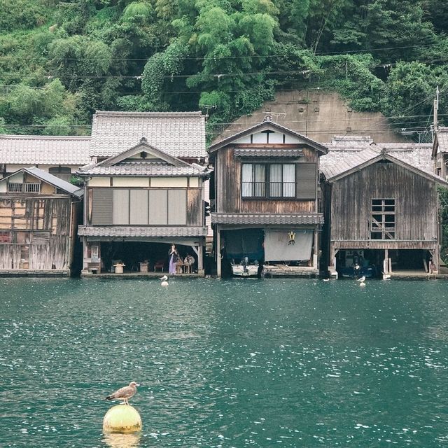 INE KYOTO🇯🇵