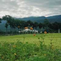 most scenic public park in Chiangmai