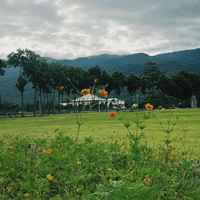 most scenic public park in Chiangmai