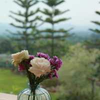 The Peak Flower Land.