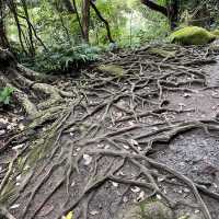 【千葉県】飛び出た崖の上で写真が撮れる📸鋸山🗻