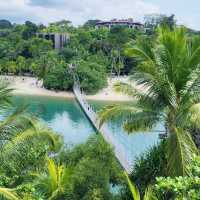 The Palawan