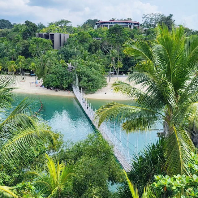 The Palawan