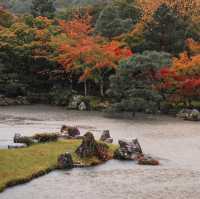เกียวโตในวันที่คิดถึง.. Tenryuji Temple