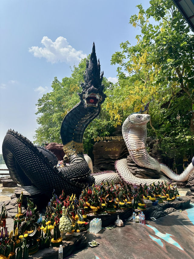 สัมผัสตำนานพญานาคที่วัดป่าปากโดม @อุบล🍃