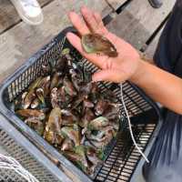 5 Must Know Tips  About Kampung Bambangan