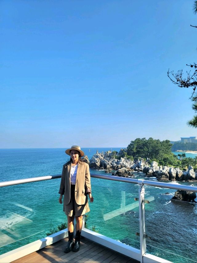 추암촛대바위를 즐긴다면 여기도 꼭🩵