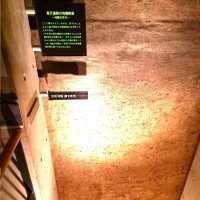 仙台景點｜全世界唯一可見冰河時期森林遺蹟博物館—地底之森博物館(仙台市富澤遺跡保存館)
