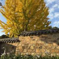 🏯 고즈넉한 역사 산책, 부여 부소산성 🌳