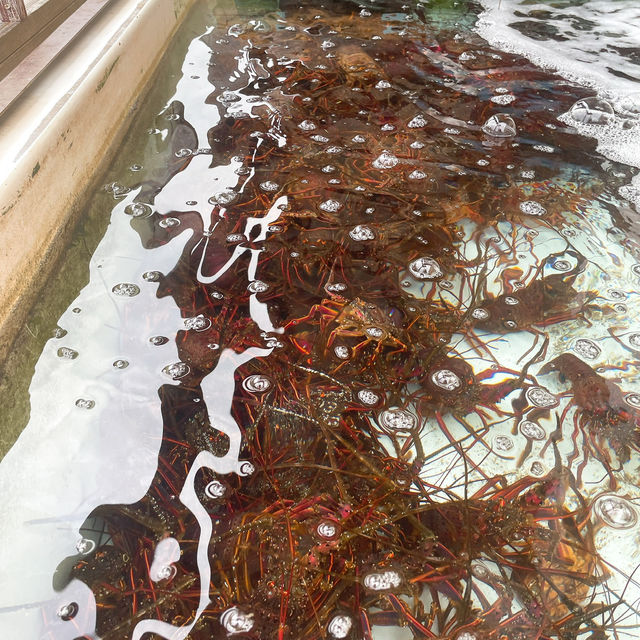 【佐伯】貝類、お刺身🐟が安い！新鮮！✨