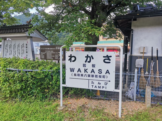 日本鳥取「若櫻鐵道」🚞