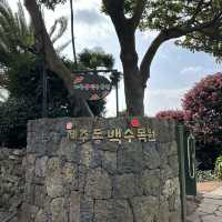 겨울 제주의 붉은 낭만, 동백수목원에서 만나는 동백꽃의 매력🌺