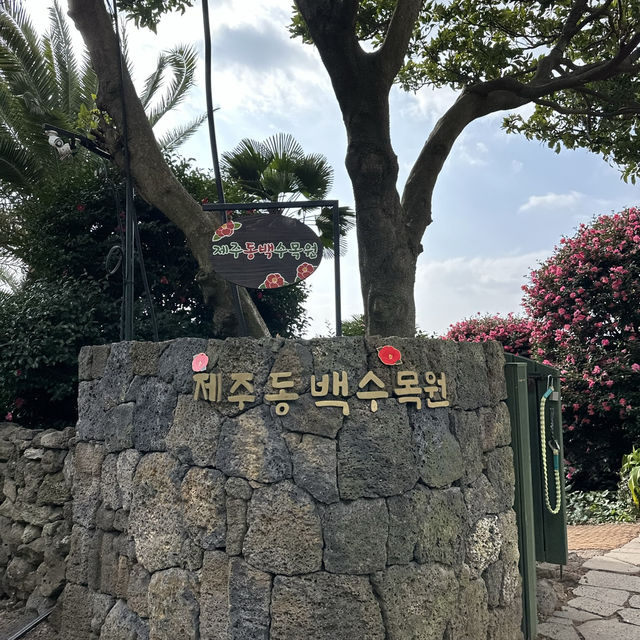 겨울 제주의 붉은 낭만, 동백수목원에서 만나는 동백꽃의 매력🌺