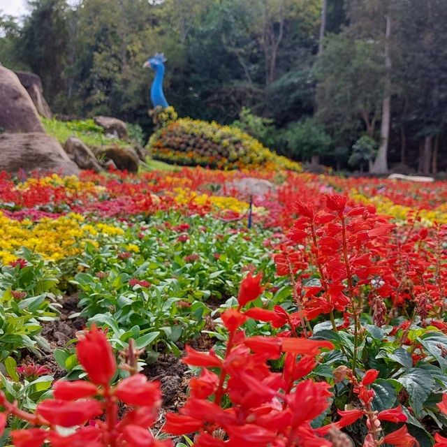 สวนดอกไม้ระยอง ต้องสวนละไม