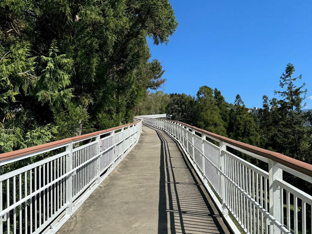 清境高空觀景步道 感受自然之美的絕佳景點✨