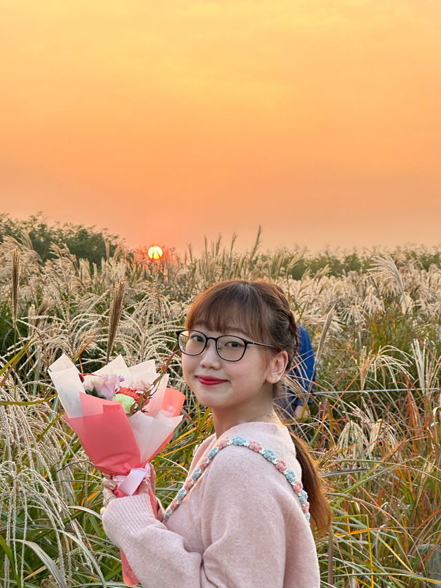 #首爾離天空最近的無邊際芒草公園🌾