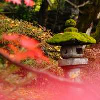 【栃木/日光】紅葉も美しい日光東照宮