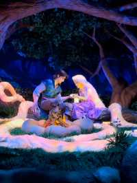 Fantasy Springs (Rapunzel’s Forest)