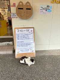 หมู่บ้านแมวที่ไต้หวัน Houtong Cat Village