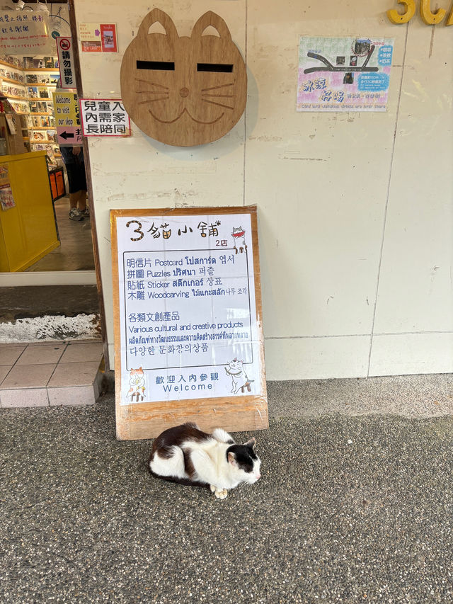 หมู่บ้านแมวที่ไต้หวัน Houtong Cat Village
