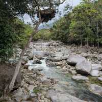 A Journey Through Mossman Gorge