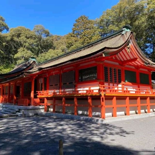 Usa Jingu Srineสมบัติของชาติญี่ปุ่น