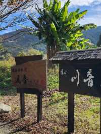 【福岡グルメ】久留米・季心川音