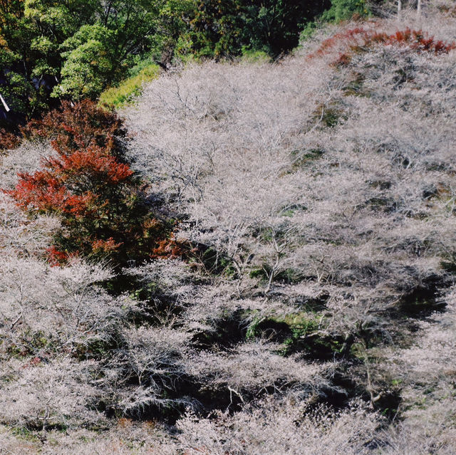 Obara Fureai Park