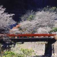 Obara Fureai Park