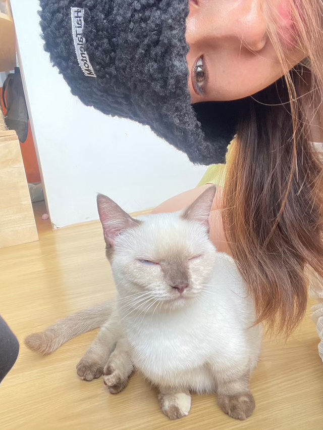 Catsmile Cafe🐈