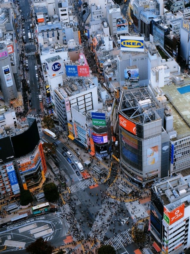 📸Shibuya Sky จุดชมวิวเมืองโตเกียวแบบ 360 องศา✨️