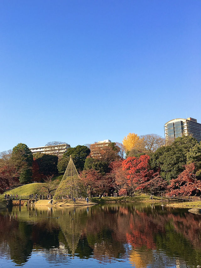 สวยมากกก!! สวนโคอิชิคาวะ ใบไม้เปลี่ยนสี 