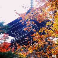 Hida Kokubunji Temple