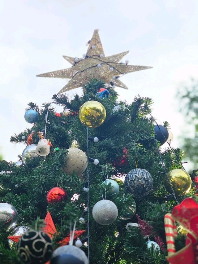 คาเฟ่สวย  สระบุรี