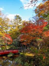 📍 【栃木】　平家の里の紅葉