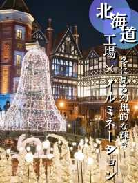 【北海道】無料なの⁉️子連れにオススメ‼️あの定番お土産工場のイルミ💡
