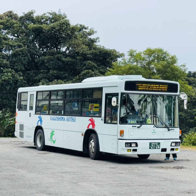 指宿：从长崎鼻去JR最南站打卡