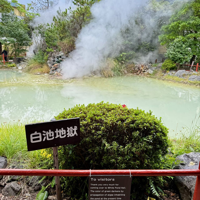 Beppu Hot Springs Hells Tour