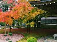 福岡🇯🇵雷山千如寺