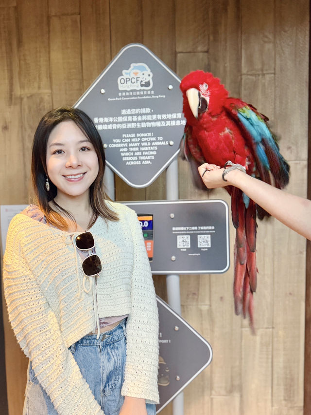 今次去海洋公園5️⃣個難忘點🐬