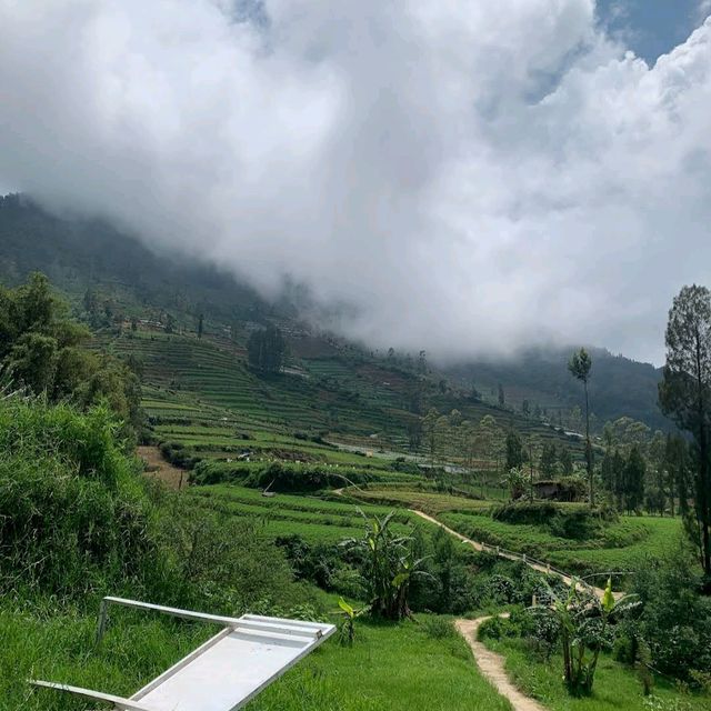 Dieng Plateau